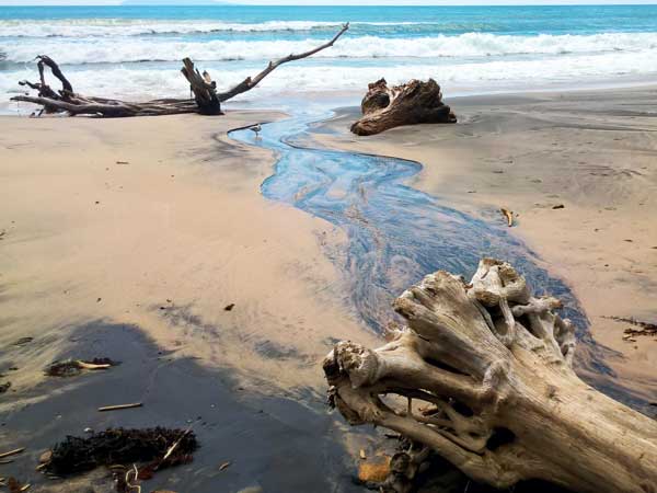 Küsten- und Sedimentsysteme: von Rippeln bis Canyons; getrieben von Gezeiten, Wellen, Strömungen und Hangprozessen; Tiefseesedimente und Biogene; Auswirkungen von Küstenschutz, Grundfischerei, Meeresbergbau; MARUM.