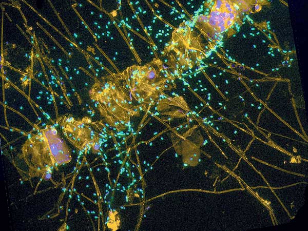Angebote für Schüler*innen