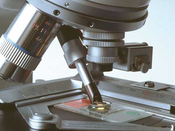 Qualitätsmanagement im Studium – FB 5: Nachhaltige Lehre, Studierbarkeit & kontinuierliche Verbesserung. Studienkommission & Studienbüro.